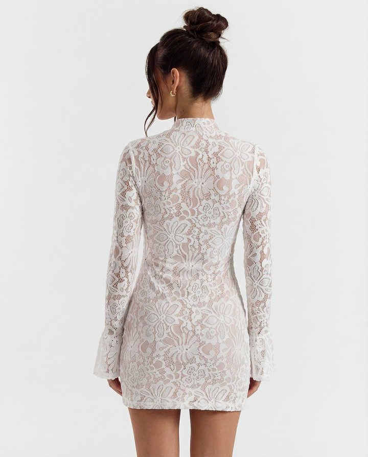 Lace Bodycon Mini Dress